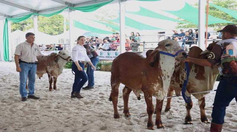 Venezuela recibe certificación por su potencial en desarrollo genético